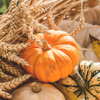 Blood type: pumpkin spice